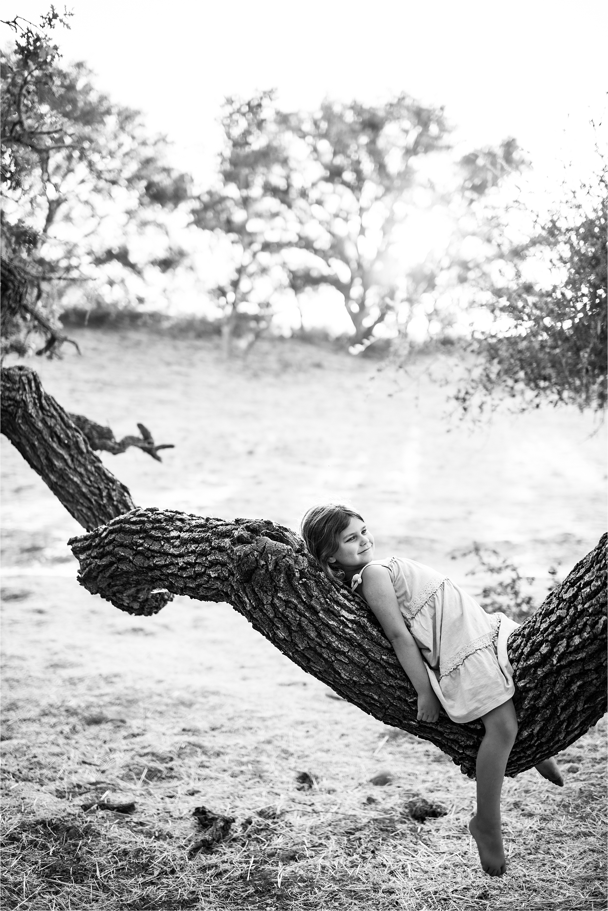 girl laying in oak tree in Solvang CA