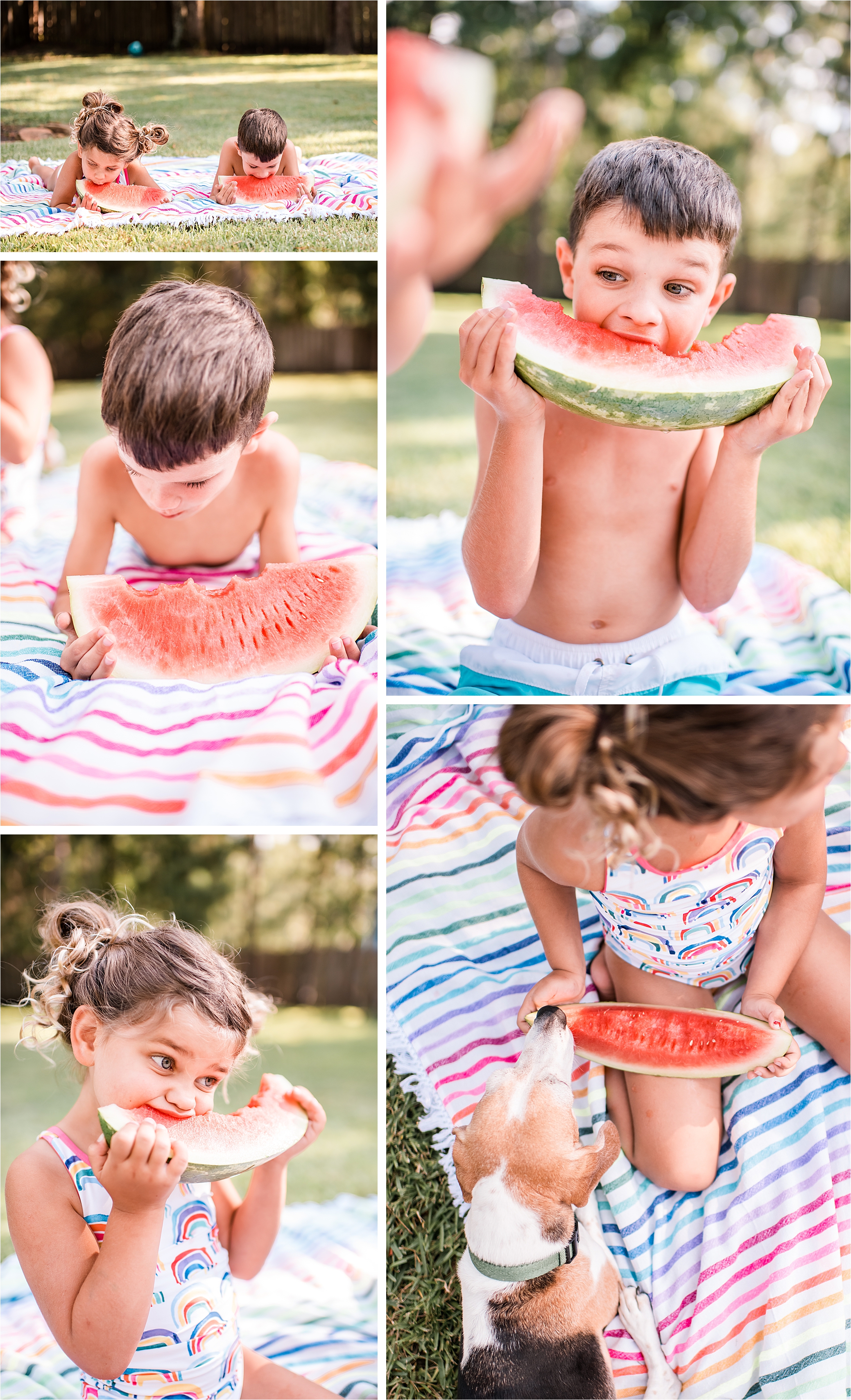 boy and girl eating watermelon, backyard eating contest. The Woodlands, Texas.