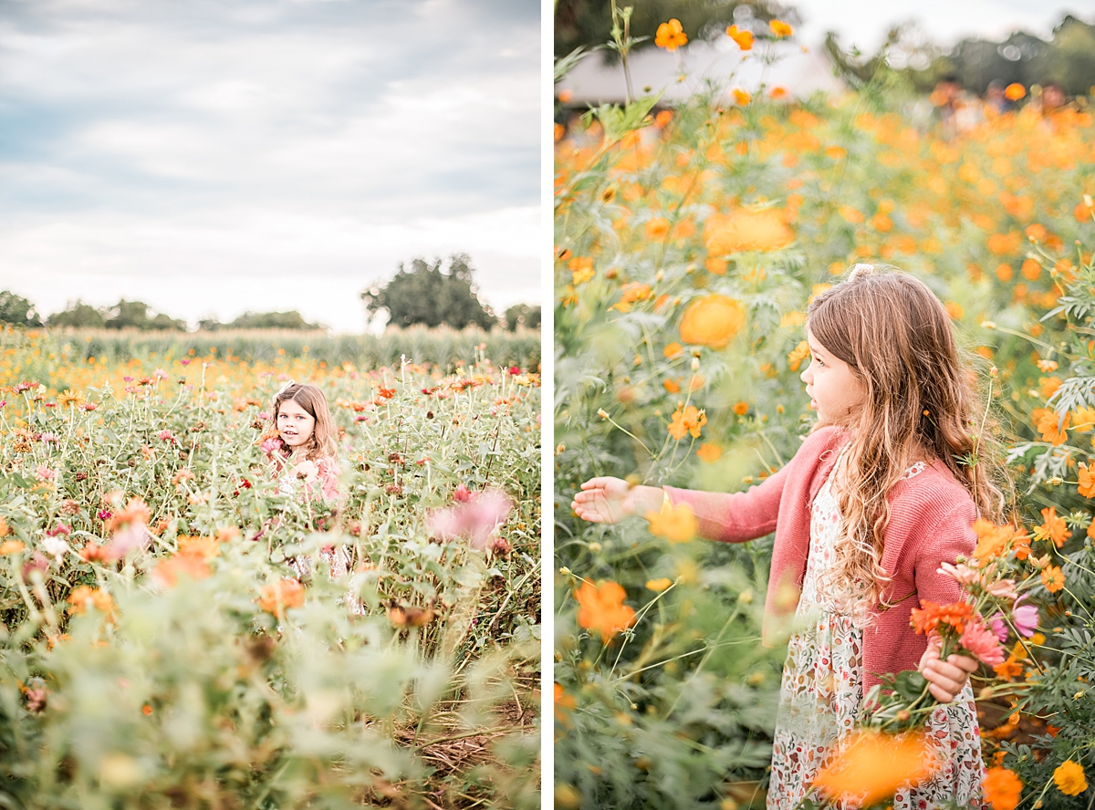 Picking flowers in Montgomery County, Texas