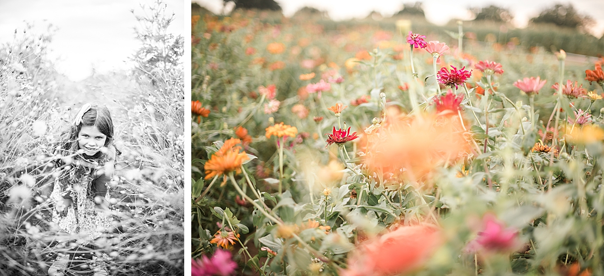 hiding in a field of flowers in Montgomery, Texas