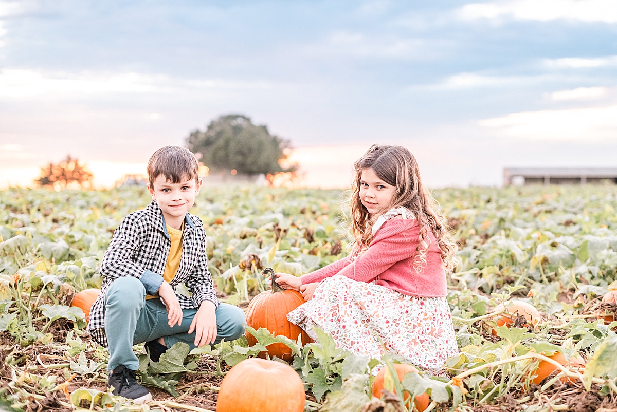 posing in the pumpkin patch - Montgomery Texas