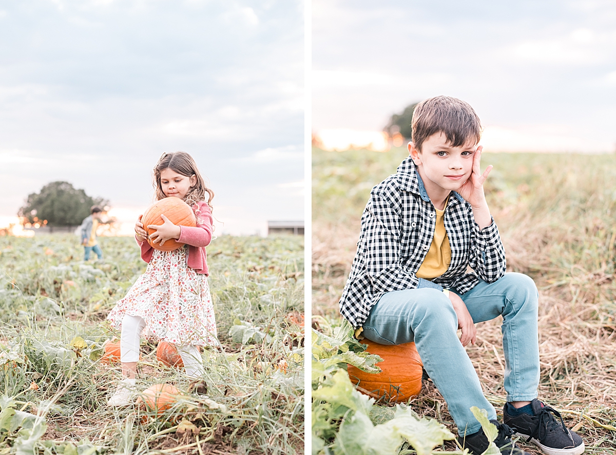 Pumpkin Picking and Pumpkin Sitting