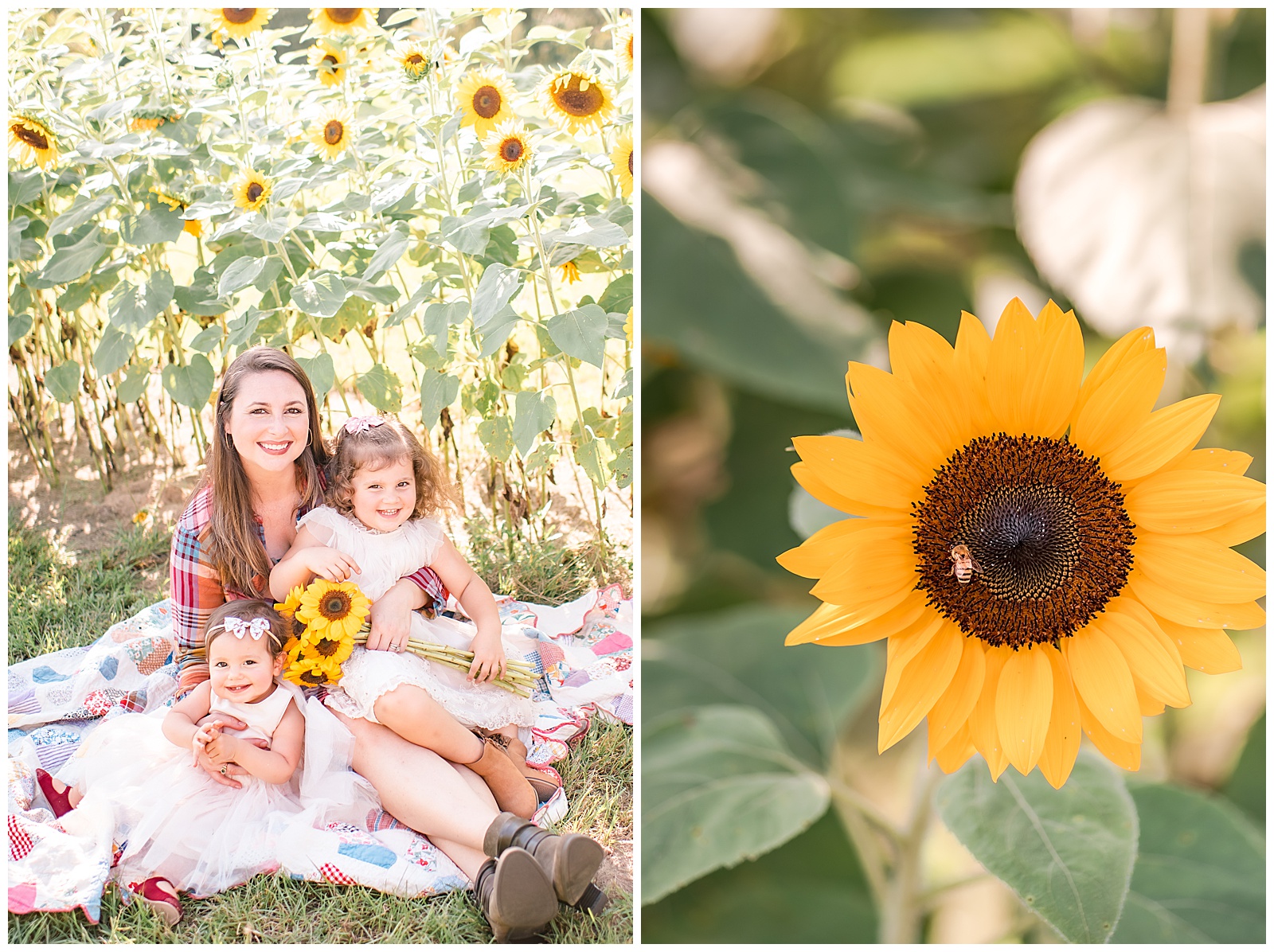 family photography in a sunflower field near the woodlands texas
