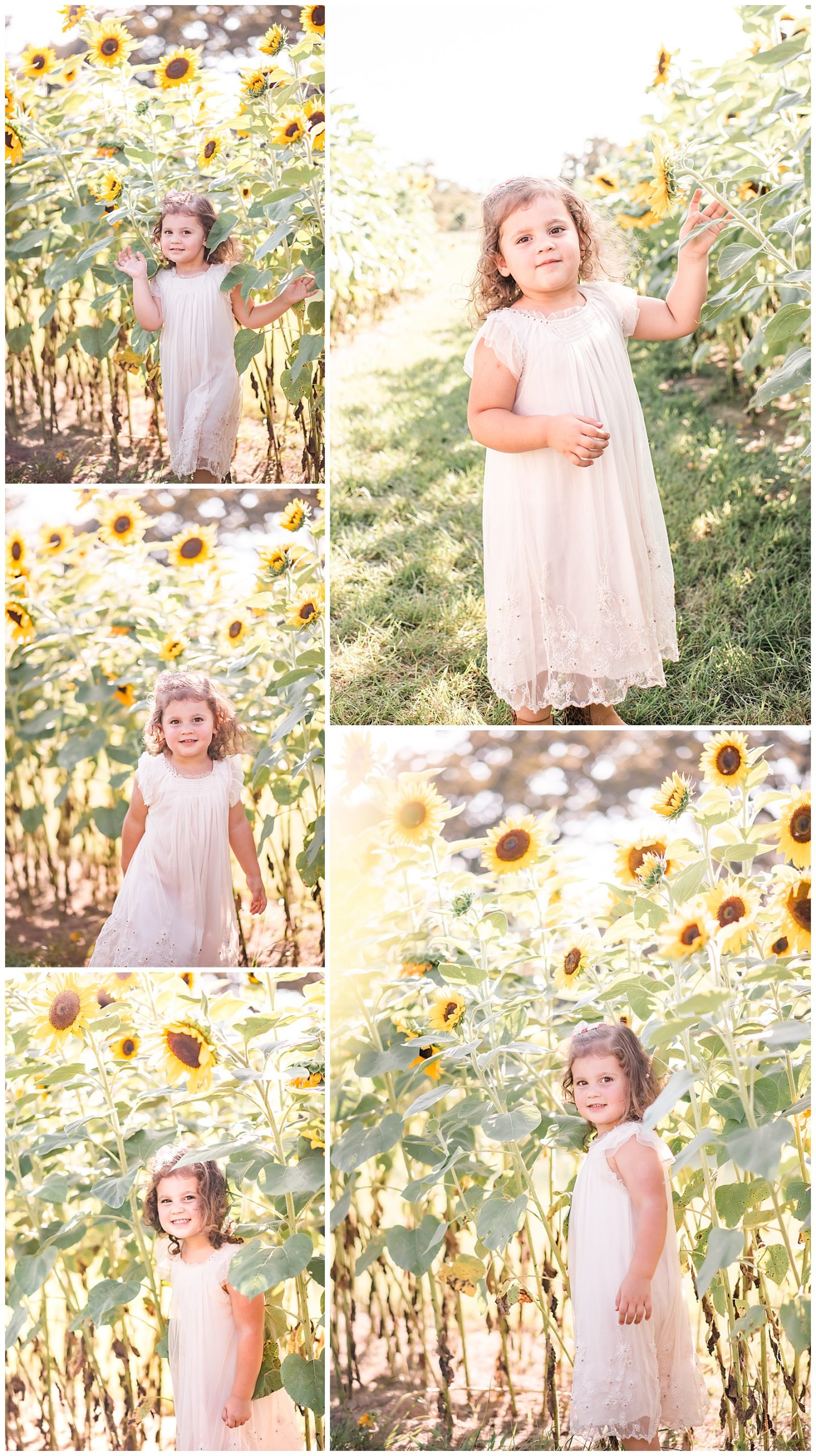 baby and child photography in a sunflower field Navasota Texas