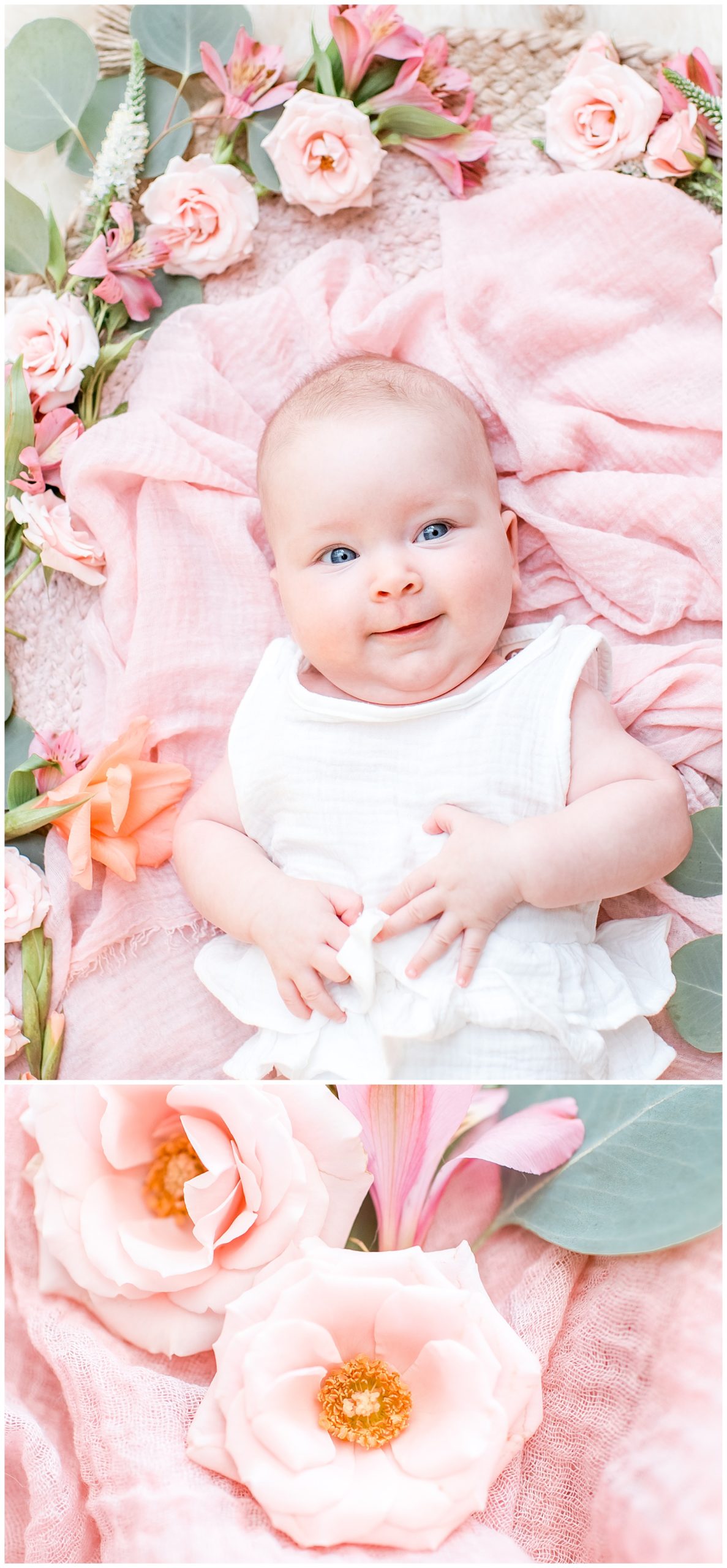 Babies and Flowers newborn photography by relics of rainbows photo