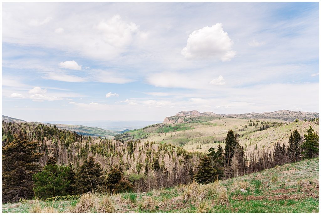Colorado New Mexico 