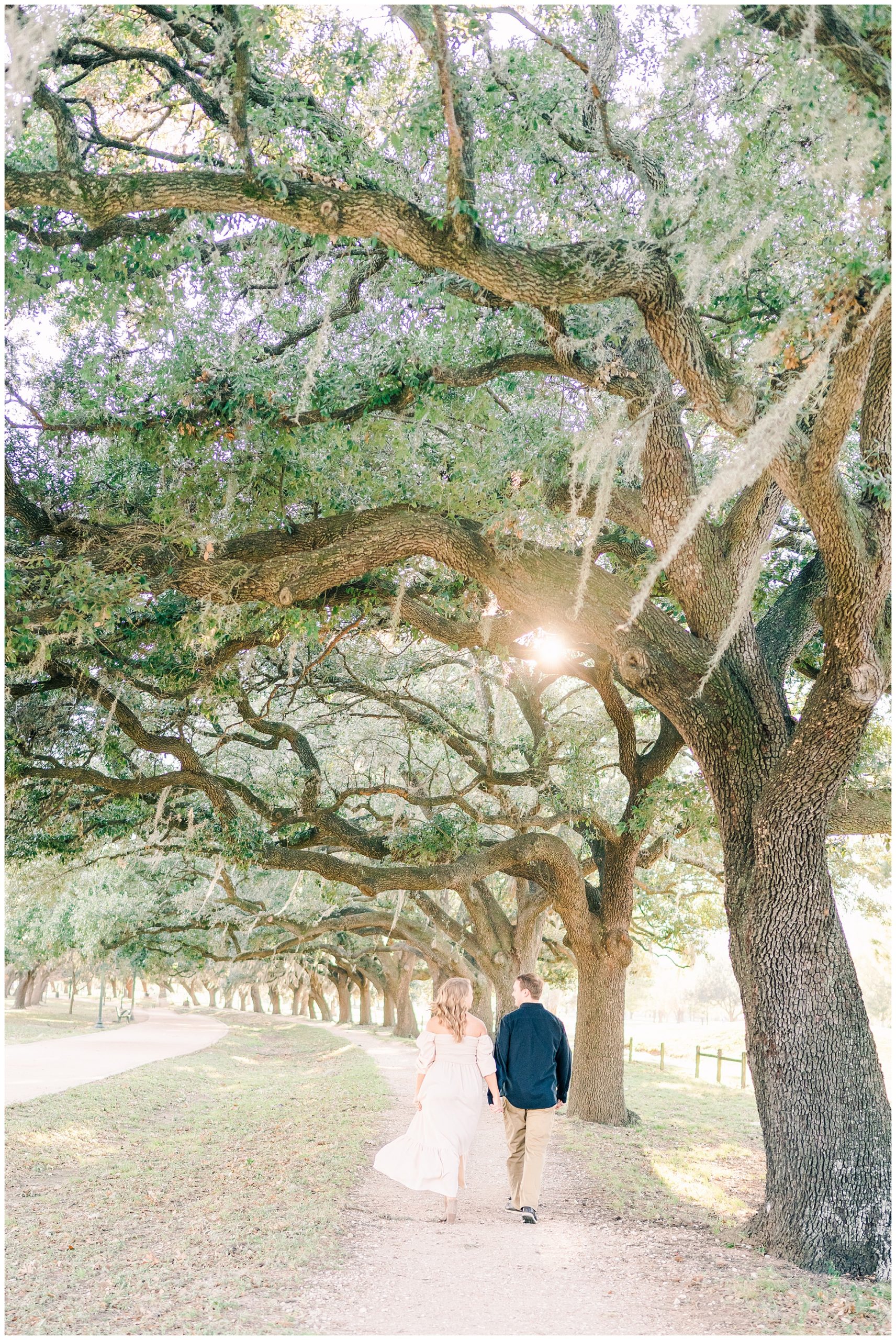 Houston Engagement Photography Session on an oak lined path.