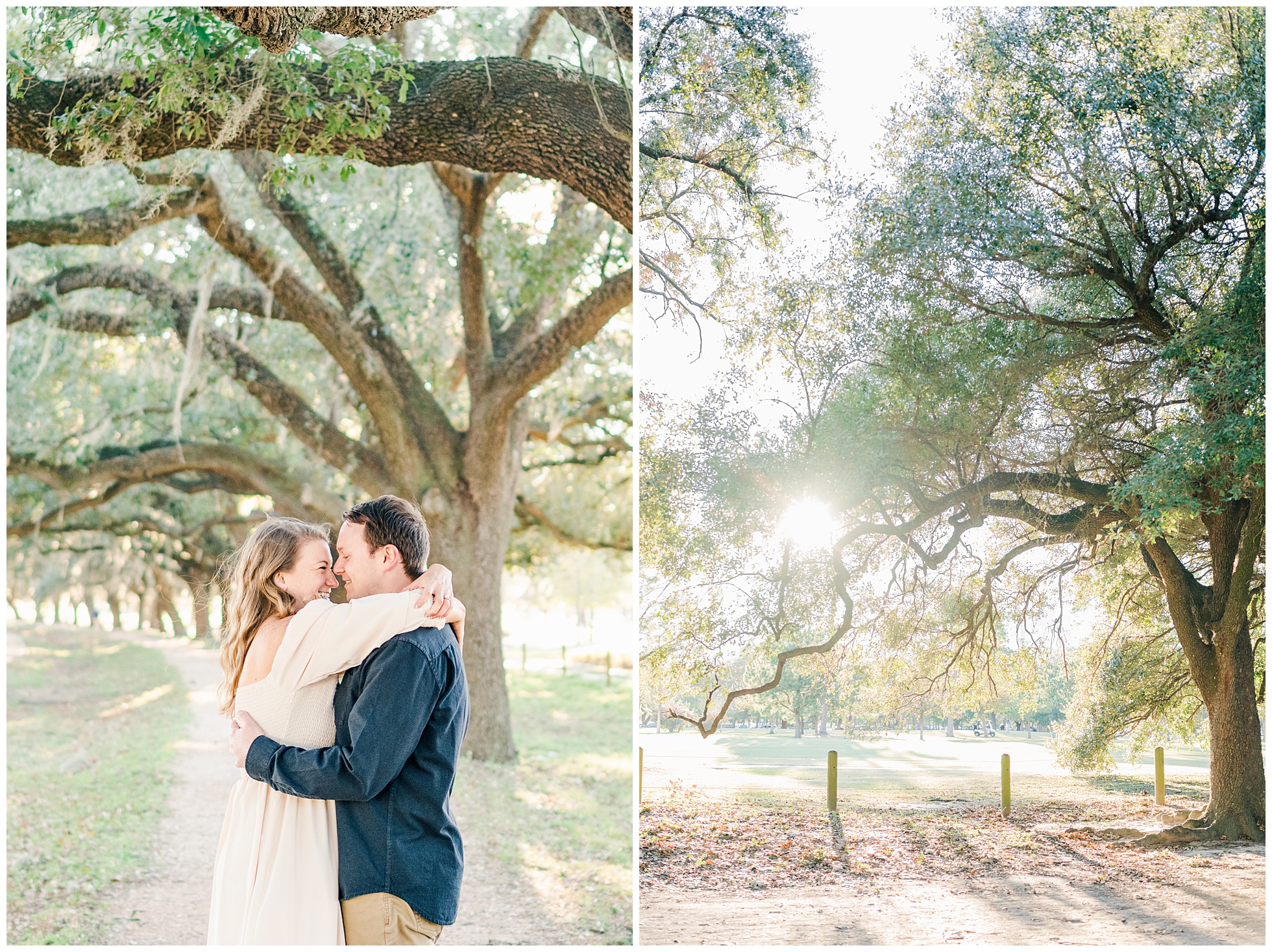 Oak tree photography sessions in Houston
