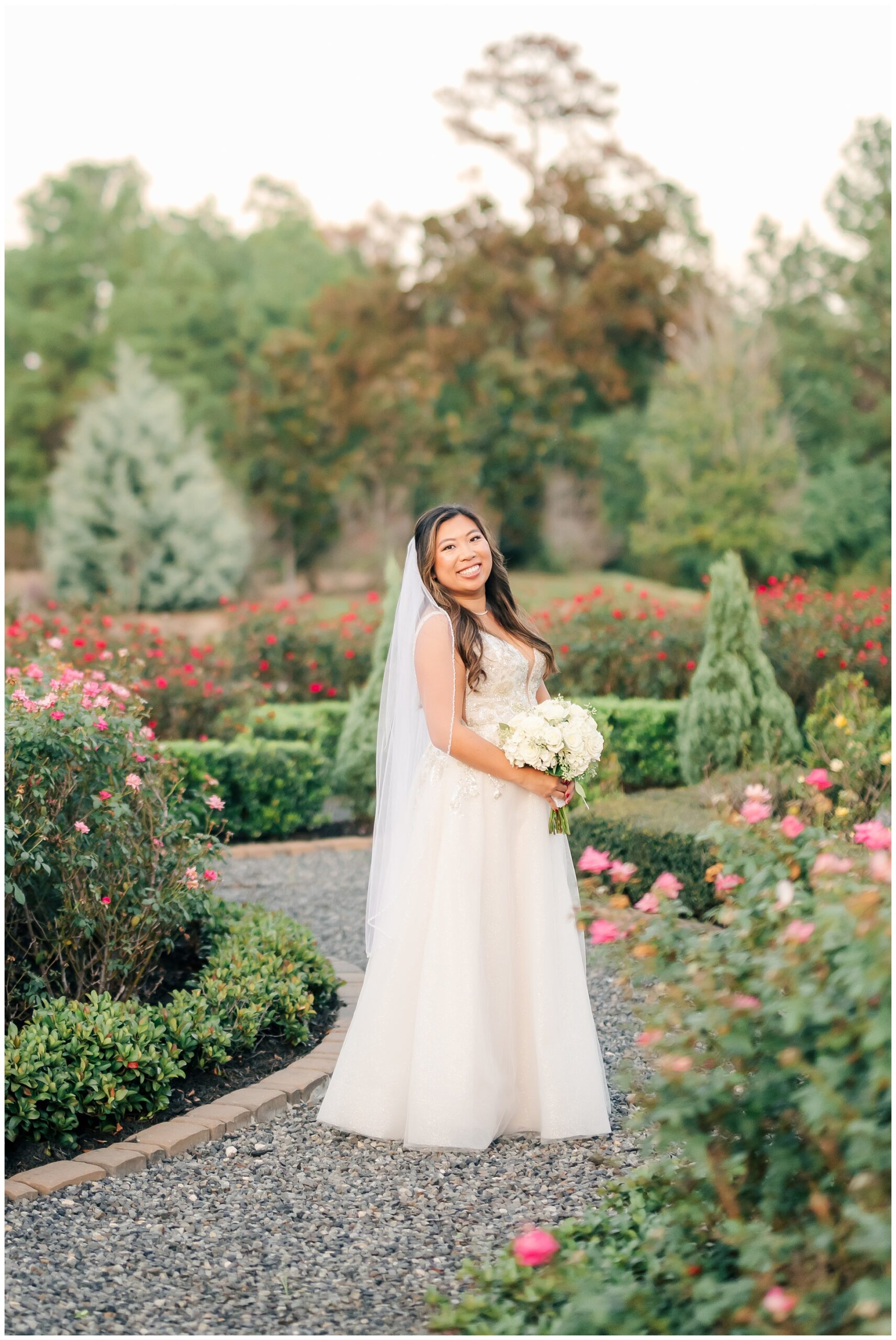 Bridal Portrait surrounded by red and pink roses in the garden at iron manor.