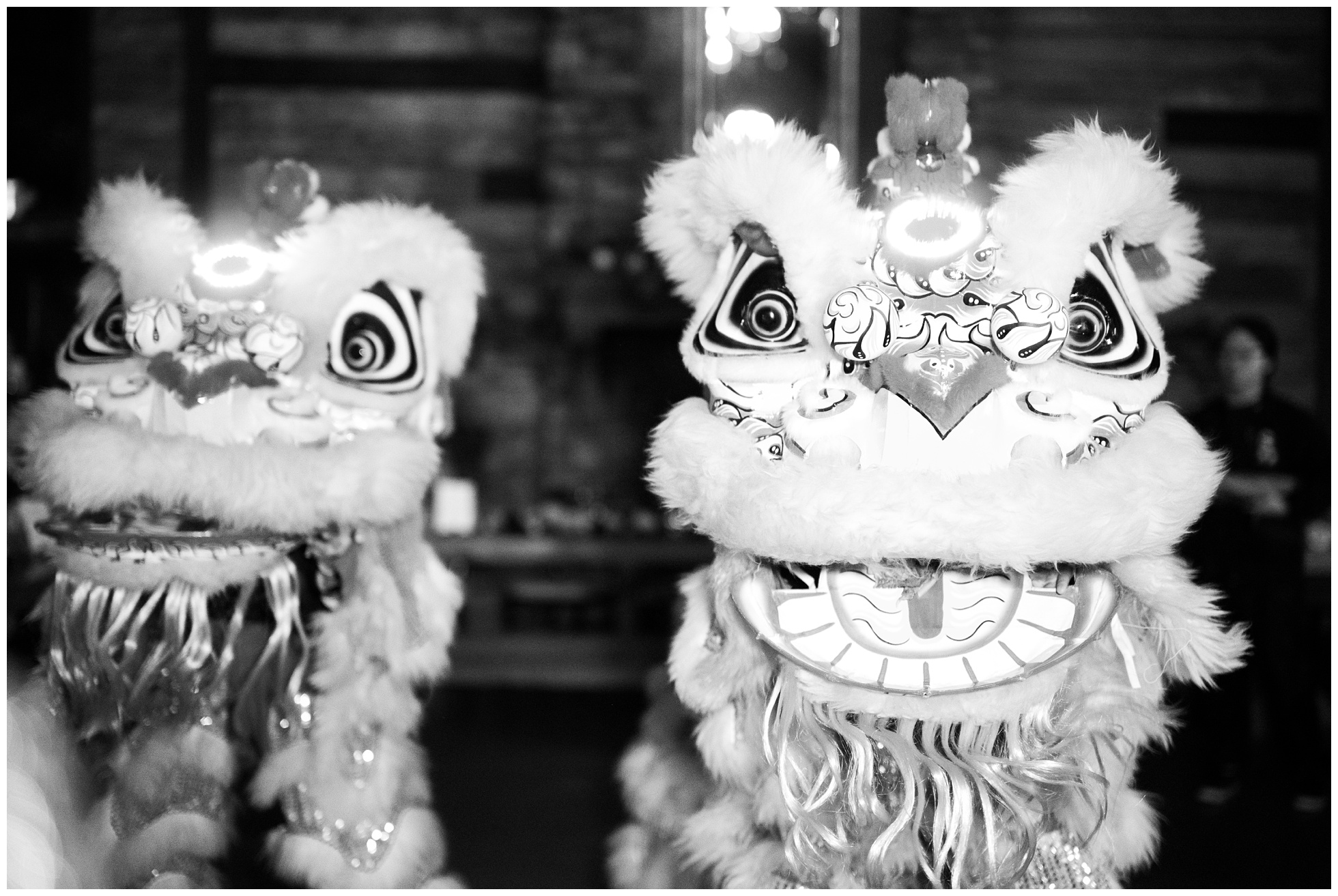 Chinese Lion Dance costumes.