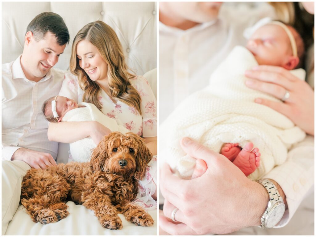 Newborn baby and goldendoodle, and baby's feet being held by dad's hand.